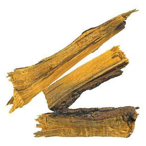 Berberis Root Dry